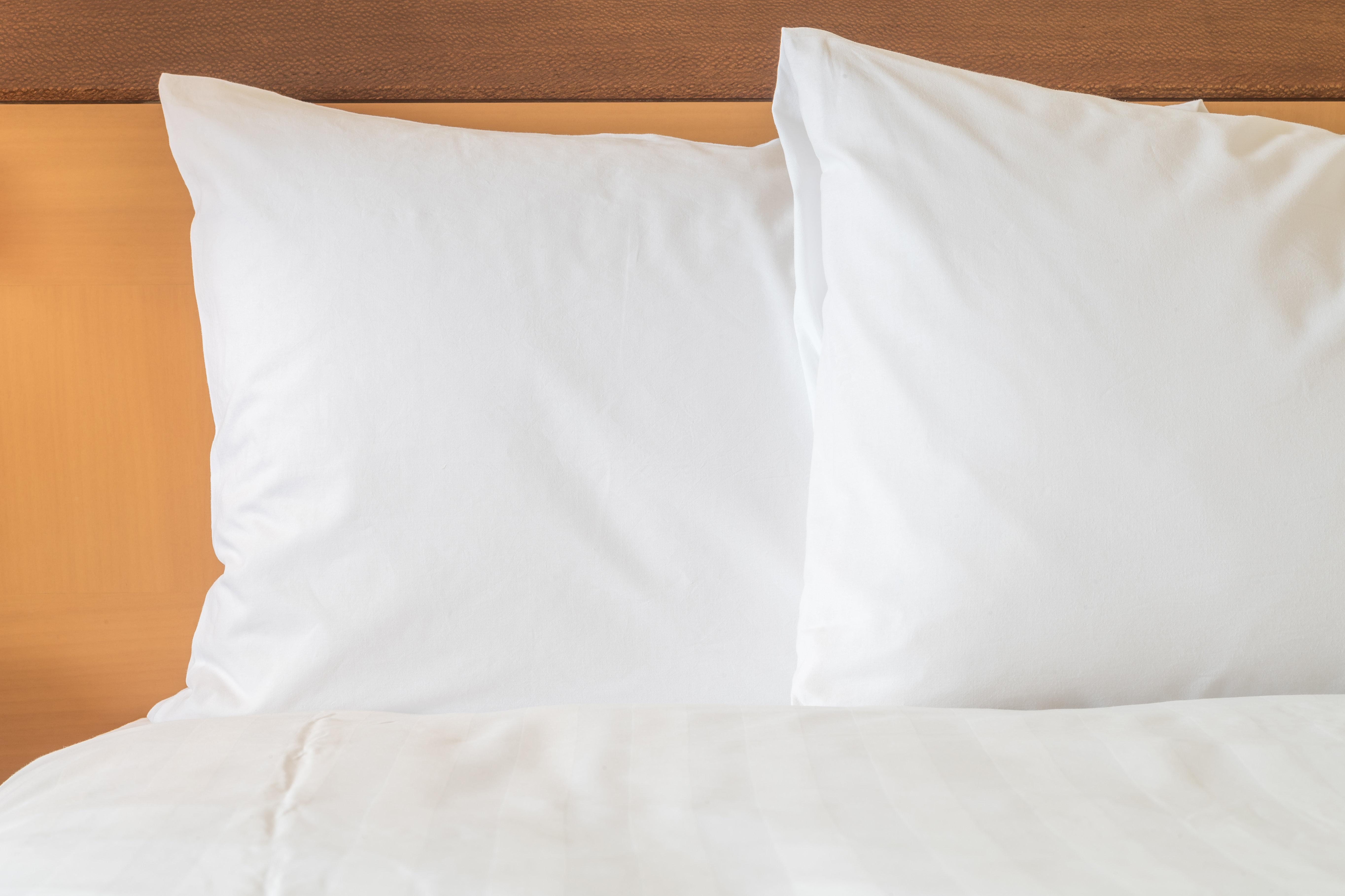 Holiday Inn Express & Suites Ozona By Ihg Eksteriør bilde